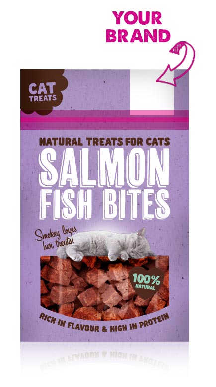 3-salmon-fish-bites-cat